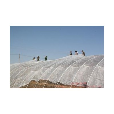 大宽幅防虫网厂家供应蔬菜防虫网温室大棚通风网图片