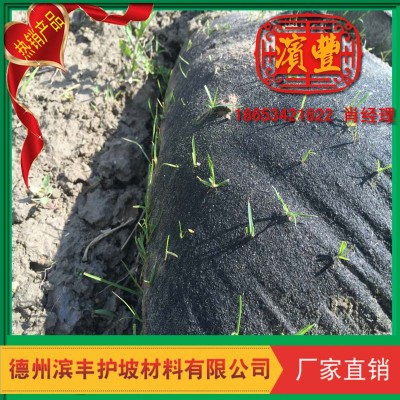 生态袋 椰丝抗冲生物毯植草毯生产销售
