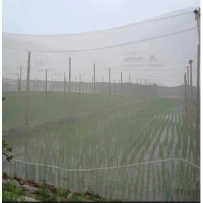 科学选择防虫网水稻秧苗防虫网大宽幅防虫网