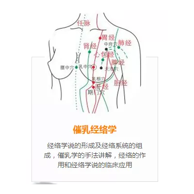 7月10日广州番禺催乳师培训体验课免费报名-缺乳怎么办