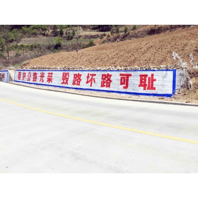 中国人寿四川围墙广告联袂自贡墙面写字广告给你优质的服务图片