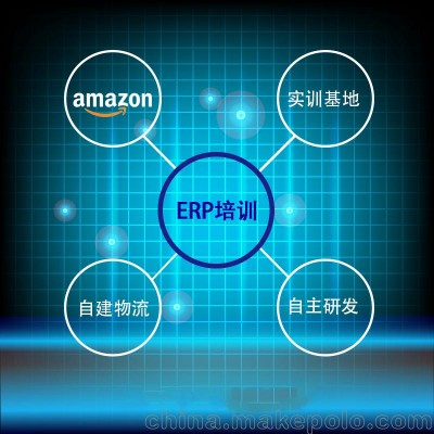 亚马逊铺货ERP管理系统 定制开发 数据私有化部署图片