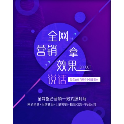 重庆（SEO，SEM，信息流，网站建设）整合一站式服务商图片