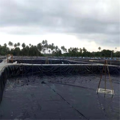 HDPE聚乙烯土工膜沼气池氧化塘黑色聚乙烯土工膜图片