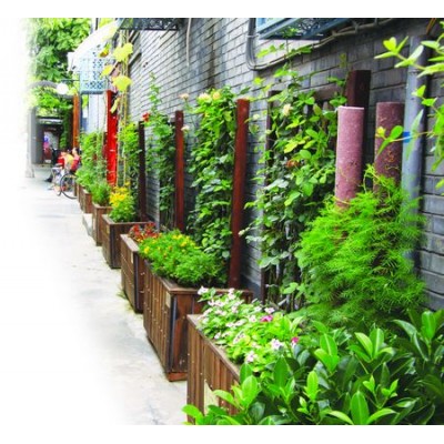 佛山外围绿化 围墙绿化养护管理图片