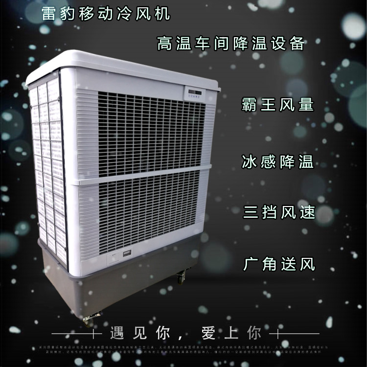 雷豹多功能移动冷风机 工业环保降温制冷空调图片