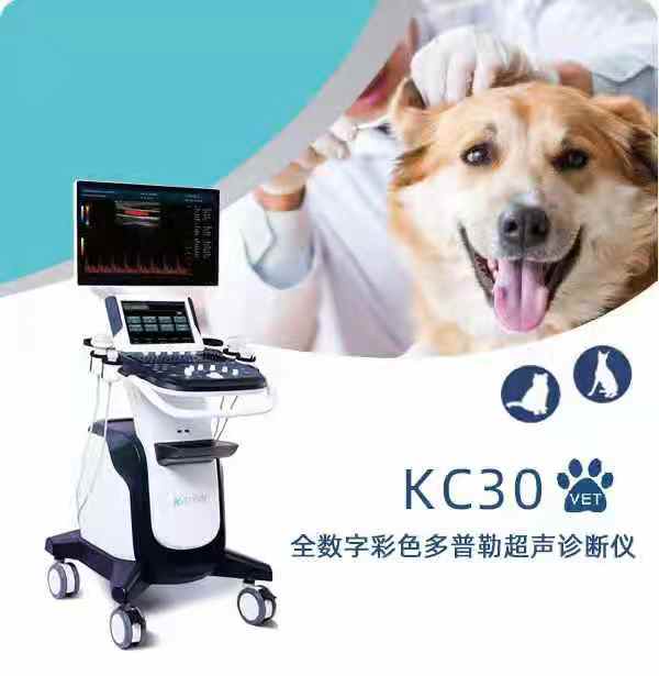 徐州凯信电子设备KC30动物全数字彩色多普勒超声诊断仪