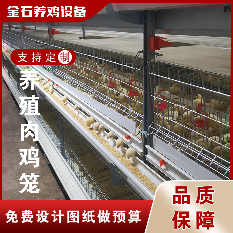 养鸡场养鸡用肉鸡笼立式鸡笼层叠鸡笼鸡笼厂家山东金石农牧机械图片