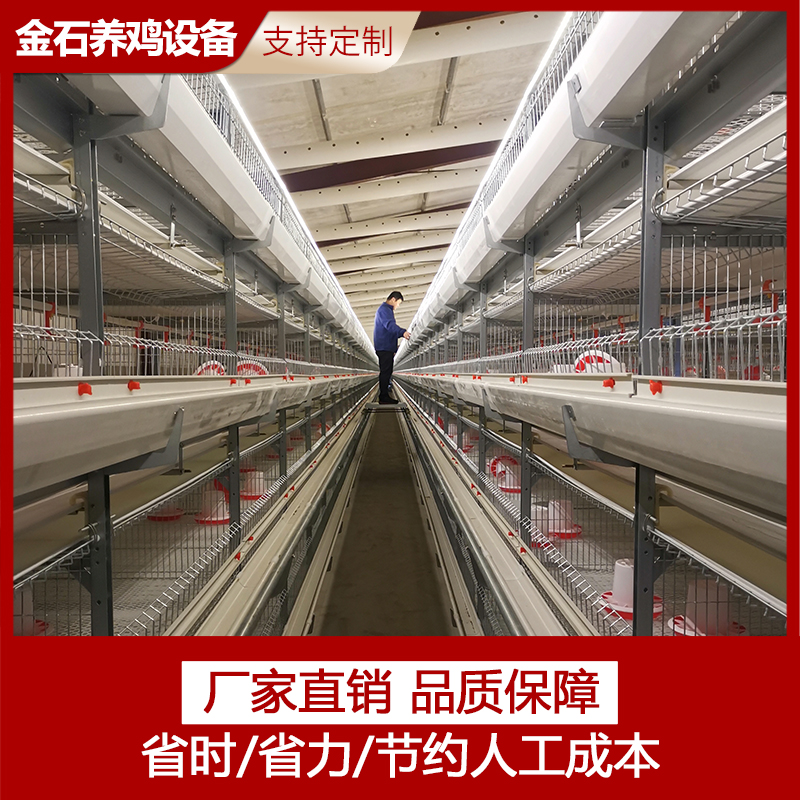 肉鸡笼鸡笼鸭笼自动化养鸡设备山东金石农牧机械图片