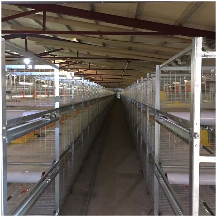 鸡笼鸭笼笼养设备养殖机械肉鸡鸡笼山东金石农牧机械图片