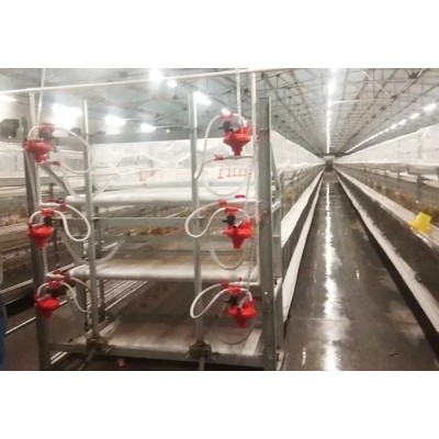 肉鸡养殖设备笼养设备鸡舍笼具山东金石农牧机械
