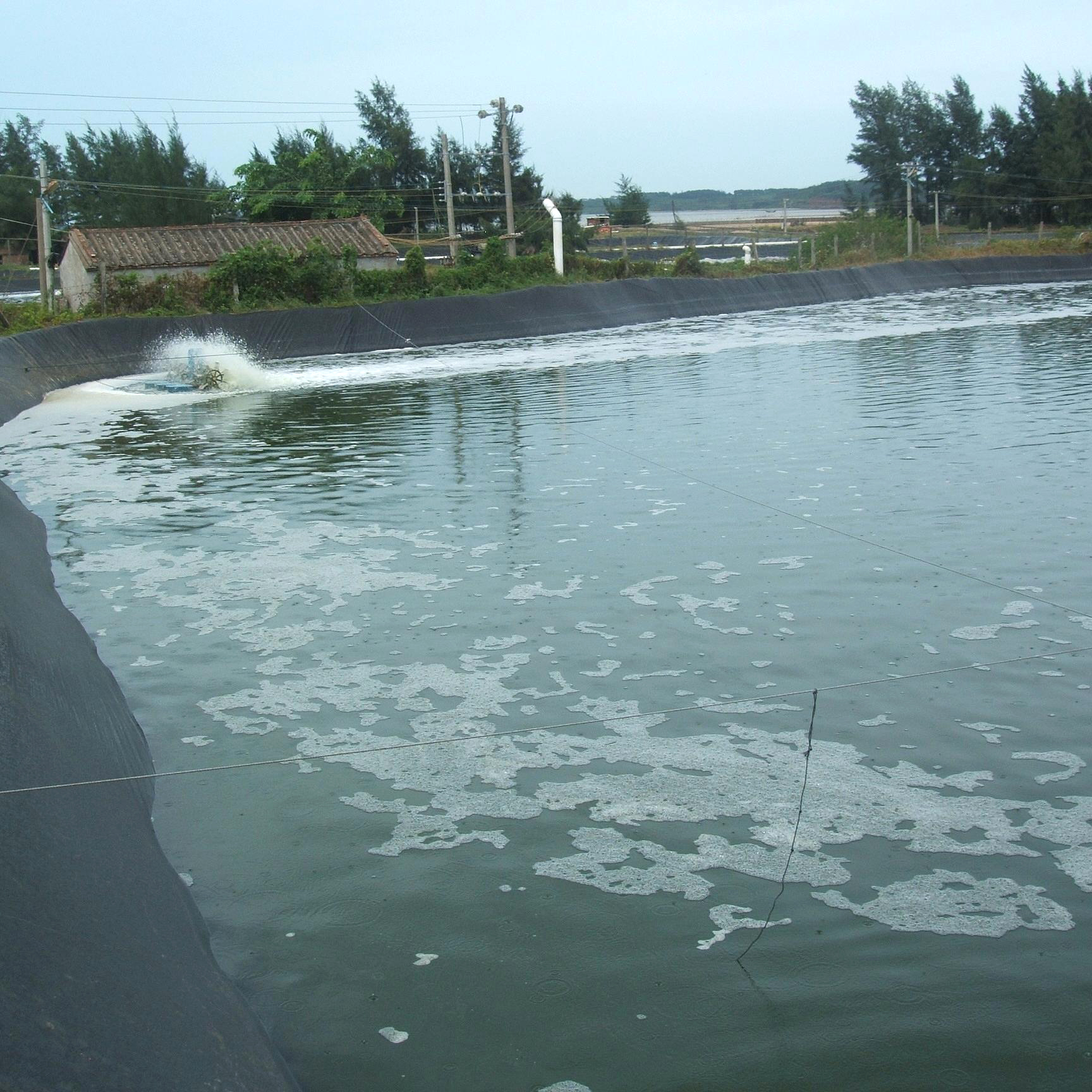 山东佳路通沼气池氧化塘污水处理池项目防渗土工膜