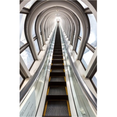山东威海品牌电梯厂家直销，家用电梯，观光扶梯，载客载货电梯图片
